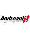 Andreani Group